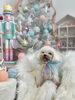 くるみくん「MerryXmas🎄」