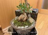 「34Garden スタッフのお買い物‎ 🛒♩𓈒𓏸」