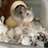 おはよ♪