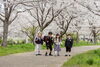 桜満開🌸輝く子供たちの姿「【江戸川区】入園・入学前にピカピカのランドセルで桜撮影しませんか？」