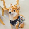 「今日のお友達」