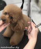 「秋のオプションキャンペーン　^o^」