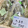 「旬を先取り『ほお葉巻き』ＧＷ期間 数量限定販売！」