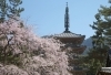 醍醐寺