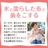 水で濡らした布ではをこすろう！「犬の歯ブラシを使った歯磨き」