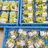 「農産物直売所では人気の葡萄『シャインマスカット』が入荷します！」