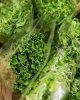 「【飲食店向け】北海道産夏野菜の仕入れ受付開始｜業務用・小ロット対応」