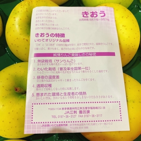 江刺りんご 黄王 きおう の入荷が始まりましたよー 佐々豊青果のニュース まいぷれ 花巻 北上 一関 奥州 江刺りんご 黄王 きおう の入荷が始まりましたよー 佐々豊青果のニュース まいぷれ 花巻 北上 一関 奥州