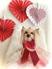 ちこちゃん／トップノット　ロング「Happy Valentine  ♡」