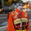 「11月15日はきもの日♫」