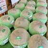 どでかいイバラキング「美味しいミニトマト入荷！【鉾田市の鹿島灘海浜公園】」