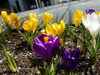 平日　8：30～19：00　ラストオーダ18：45「喫茶ホットラインの4月のお休みのお知らせです。」