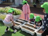 芽がでたよ「家老屋敷に行ったよ♪」