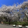 新宿中央公園