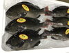 「魚魚市場鮮魚コーナーおすすめは「ユメカサゴ」です」