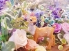 「動物の入ったプリザーブドフラワー✨」