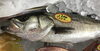 「魚魚市場鮮魚コーナーおすすめは「島根県産甘エビ」です♪」