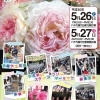 第15回　緑が丘ローズハーツふれあいフェスタ