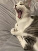 あ「奇跡的に撮れたるい君の=^._.^= ∫」
