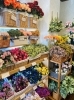 色合い豊かに取り揃えています❧「八幡西区則松のアーティフィシャルフラワーのお店クリーンフラワー花花です!光触媒加工・アーティフィシャルフラワ”秋色”入荷しています！」