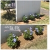 お庭にちょっとした低木や草花を植えてみませんか(^^)住まいガーデン