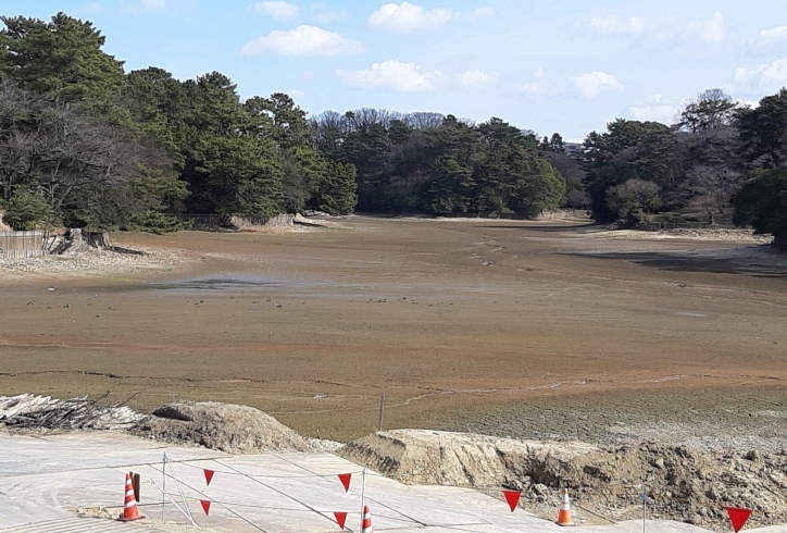 み・み・水がない!?「まさか！テレビ東京の『緊急SOS!池の水ぜんぶ抜く大作戦』に出るのか!?　まいぷれ大府市・東海市　編集室」