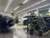 上質極まる空間で車を吟味「アートと観葉植物に囲まれた屋内ショールームでクルマ選び」