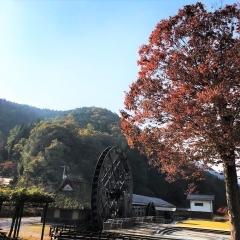 【神郷下神代】夢すき公園