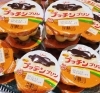 BIGプッチンプリン「プリン・ヨーグルトコーナーが気になりました！」