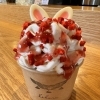 うさぎソフト