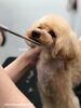 「冬のオプションキャンペーン　^o^」