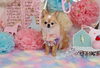 「Anniversaryphoto　(*´ω｀*)」