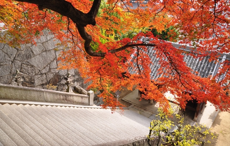 御袖天満宮 尾道 三原 紅葉特集 まいぷれ 尾道市 御袖天満宮 尾道 三原 紅葉特集 まいぷれ 尾道市