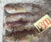 「魚魚市場鮮魚コーナーおすすめは「カツオ」です♪」