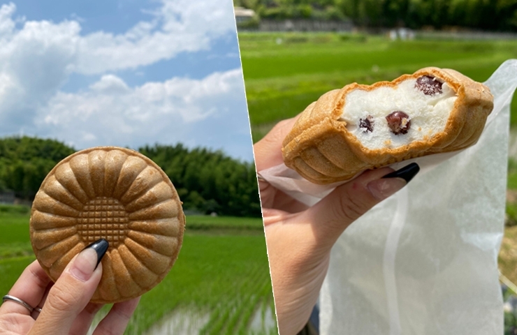 豆腐工房うえ田 さんの豆乳モナカアイスは 最高のプレゼント 彡 京都市西京区 大原野 極みスイーツ 隠れ家パン まいぷれ京都西京区 南区 まいぷれ 京都市西京区 南区