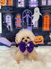 みにょんちゃん「Happy Halloween 2026🎃」