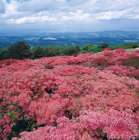 階上岳