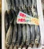 「魚魚市場鮮魚コーナーおすすめは「ハガツオ・あじ」です♪」