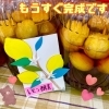 「2月のお知らせ」