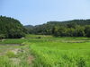 「【「下島山地区の水草観察会」参加者募集！】」