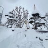 「観測史上最大の積雪です！」