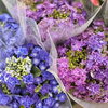 「アンスリウムにクレマチス、紫陽花 どれもおすすめです💛💚💜母の日にもお立ち寄りください👩💐【越前市/花屋/生花/フラワーアレンジメント/ふるーれ・T】」