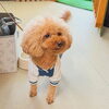 「今日のお友達」