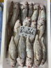 石持ち「10時から岩牡蠣販売致します」