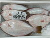 「ホームページはこちら🔗iwafunegyokou.com」