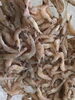 「魚魚市場鮮魚コーナーおすすめは「白エビ」です♪」
