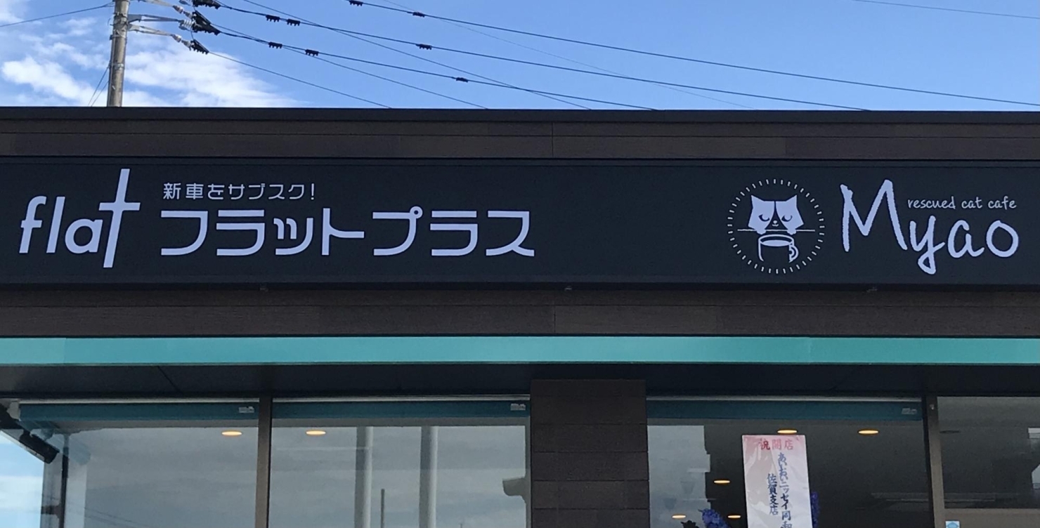 Flatプラス Miyao フラットプラス ミャオ 佐賀にできた新しいお店 リニューアルしたお店の紹介 まいぷれ 佐賀 神埼 Flatプラス Miyao フラットプラス ミャオ 佐賀にできた新しいお店 リニューアルしたお店の紹介 まいぷれ 佐賀 神埼