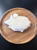 「暑い夏はウチの冷やしもちもちたい焼きを🎵」