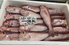 「ハラコ販売中でーす‼️鮮魚パックいろいろ販売中‼️〆鯖も販売致します🐳」