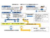 新型コロナウイルスに感染したかもと思ったら「葛飾区内の新型コロナウイルス感染者発生状況【更新日 令和3年6月3日】」